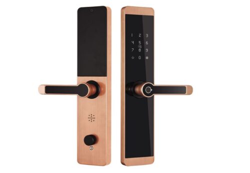 Khóa cửa vân tay Kassler KL-600 App mobi màu đồng